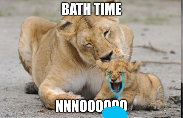 BATH TIME; NNNOOOOOO | image tagged in bath time | made w/ Imgflip meme maker