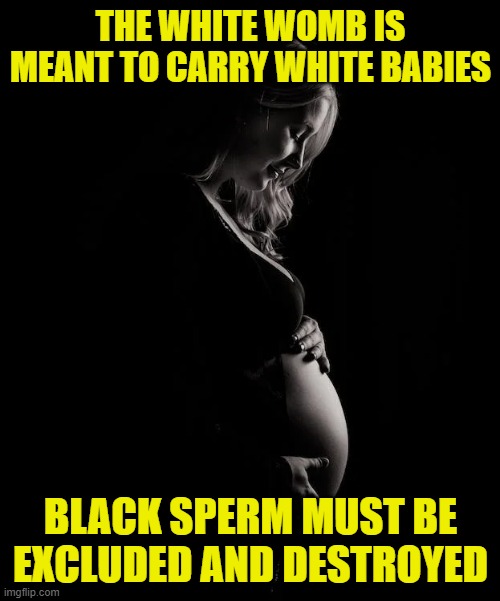 It's common sense | THE WHITE WOMB IS MEANT TO CARRY WHITE BABIES; BLACK SPERM MUST BE EXCLUDED AND DESTROYED | image tagged in white people | made w/ Imgflip meme maker