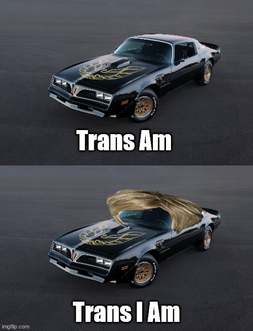 Trans Am; Trans I Am | image tagged in cars | made w/ Imgflip meme maker