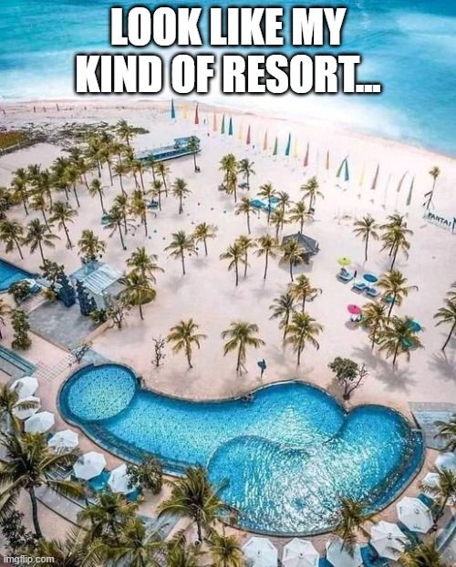 That Pool... | LOOK LIKE MY KIND OF RESORT... | image tagged in sus,sex jokes | made w/ Imgflip meme maker