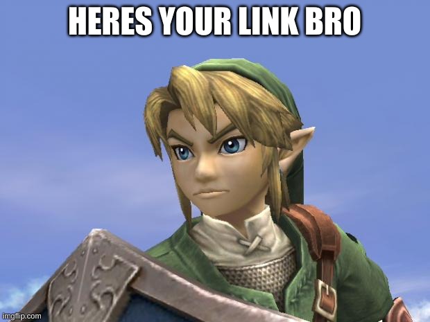 Link | HERES YOUR LINK BRO | image tagged in link | made w/ Imgflip meme maker