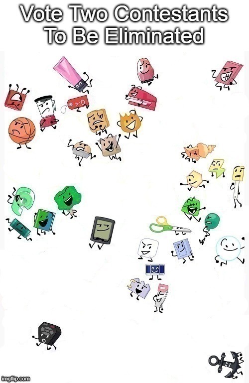 THE OG VIEWER VOTING PERSON IS BACK anyways Pillow & Mechanical Flower have been eliminated | made w/ Imgflip meme maker