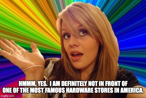 Dumb Blonde Meme | HMMM, YES.  I AM DEFINITELY NOT IN FRONT OF ONE OF THE MOST FAMOUS HARDWARE STORES IN AMERICA. | image tagged in memes,dumb blonde | made w/ Imgflip meme maker