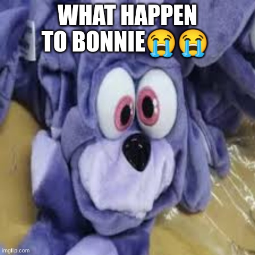 WHAT HAPPEN TO BONNIE😭😭 | made w/ Imgflip meme maker