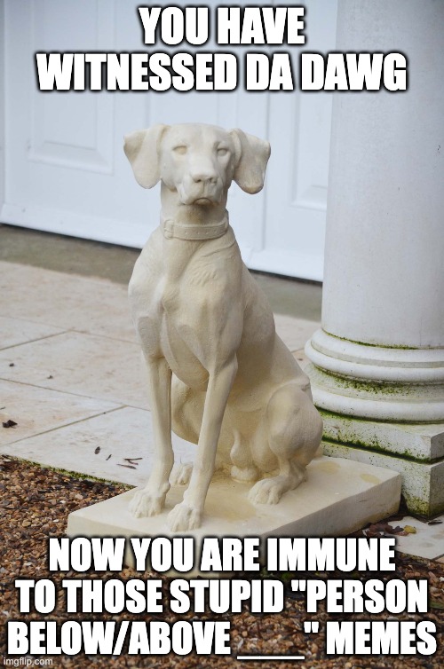 YOU HAVE WITNESSED DA DAWG; NOW YOU ARE IMMUNE TO THOSE STUPID "PERSON BELOW/ABOVE ___" MEMES | made w/ Imgflip meme maker