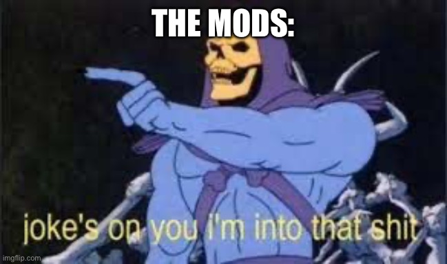 Jokes on you im into that shit | THE MODS: | image tagged in jokes on you im into that shit | made w/ Imgflip meme maker