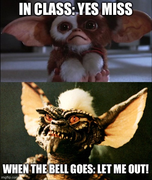 Gremlin student | IN CLASS: YES MISS; WHEN THE BELL GOES: LET ME OUT! | image tagged in gremlin mogwai,students,kids,class | made w/ Imgflip meme maker
