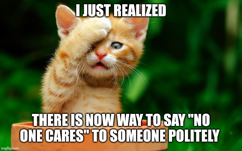 I just realized | I JUST REALIZED; THERE IS NOW WAY TO SAY "NO ONE CARES" TO SOMEONE POLITELY | image tagged in i just realized,shocked | made w/ Imgflip meme maker