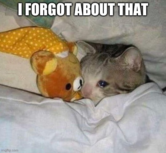 Crying cat | I FORGOT ABOUT THAT | image tagged in crying cat | made w/ Imgflip meme maker