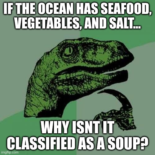 whats needed for a soup to be a soup? | IF THE OCEAN HAS SEAFOOD, VEGETABLES, AND SALT... WHY ISNT IT CLASSIFIED AS A SOUP? | image tagged in memes,philosoraptor | made w/ Imgflip meme maker
