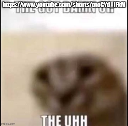 https://www.youtube.com/shorts/otoGYd_IFkM | https://www.youtube.com/shorts/otoGYd_IFkM | image tagged in the got damn the uh the uhhh | made w/ Imgflip meme maker