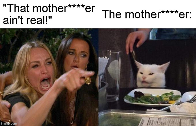 Same energy as the plane lady | "That mother****er ain't real!"; The mother****er: | image tagged in memes,woman yelling at cat | made w/ Imgflip meme maker
