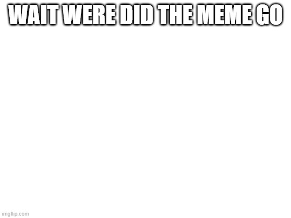 huh | WAIT WERE DID THE MEME GO | image tagged in funny memes | made w/ Imgflip meme maker