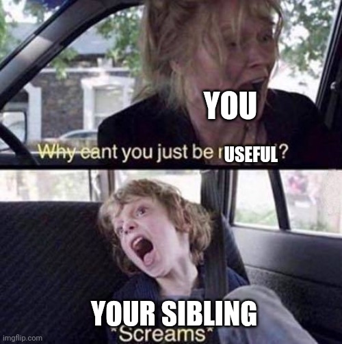 Why Can't You Just Be Normal | YOU YOUR SIBLING USEFUL | image tagged in why can't you just be normal | made w/ Imgflip meme maker