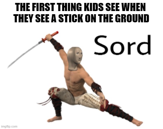 Imagination | THE FIRST THING KIDS SEE WHEN 
THEY SEE A STICK ON THE GROUND | image tagged in meme man sword,relatable,relatable memes,memes,stick,sword | made w/ Imgflip meme maker