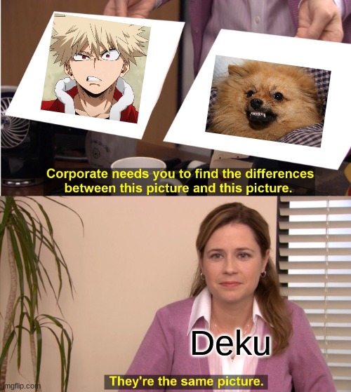 Can YOU tell the difference? | Deku | image tagged in memes,they're the same picture,mha | made w/ Imgflip meme maker
