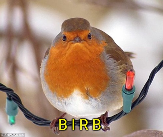 Bah Humbug Meme | B I R B | image tagged in memes,bah humbug | made w/ Imgflip meme maker