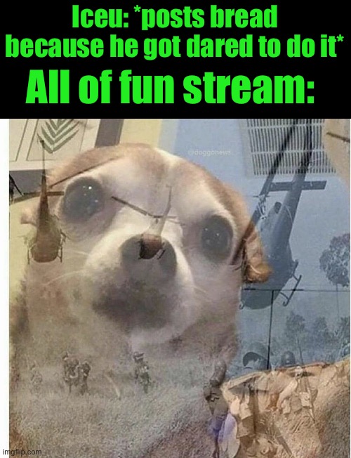 PTSD Chihuahua | Iceu: *posts bread because he got dared to do it*; All of fun stream: | image tagged in ptsd chihuahua | made w/ Imgflip meme maker
