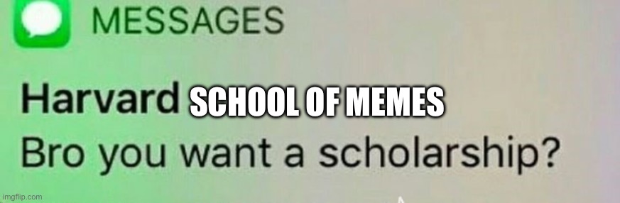 harvard scholarship | SCHOOL OF MEMES | image tagged in harvard scholarship | made w/ Imgflip meme maker