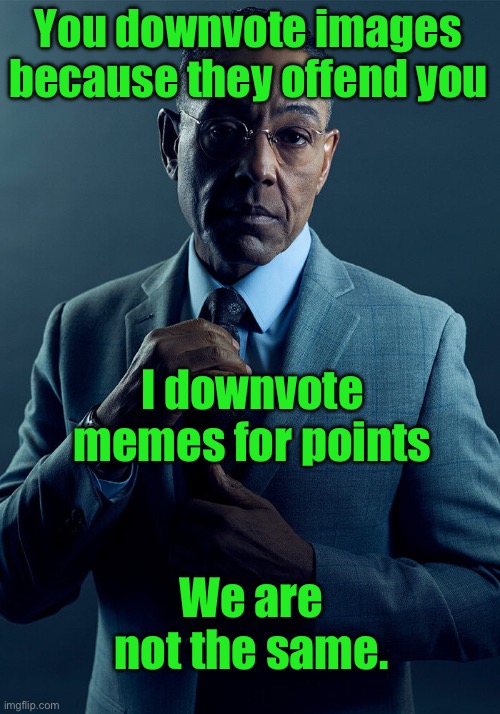 Gus Fring we are not the same | You downvote images because they offend you; I downvote memes for points; We are not the same. | image tagged in gus fring we are not the same | made w/ Imgflip meme maker