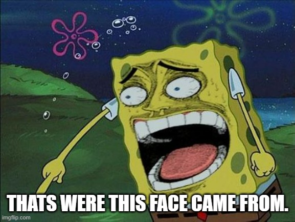 Spongebob laughing | THATS WERE THIS FACE CAME FROM. | image tagged in spongebob laughing | made w/ Imgflip meme maker