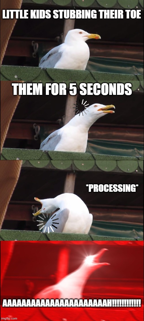 they have slow internet speed | LITTLE KIDS STUBBING THEIR TOE; THEM FOR 5 SECONDS; *PROCESSING*; AAAAAAAAAAAAAAAAAAAAAAH!!!!!!!!!!!! | image tagged in memes,inhaling seagull | made w/ Imgflip meme maker