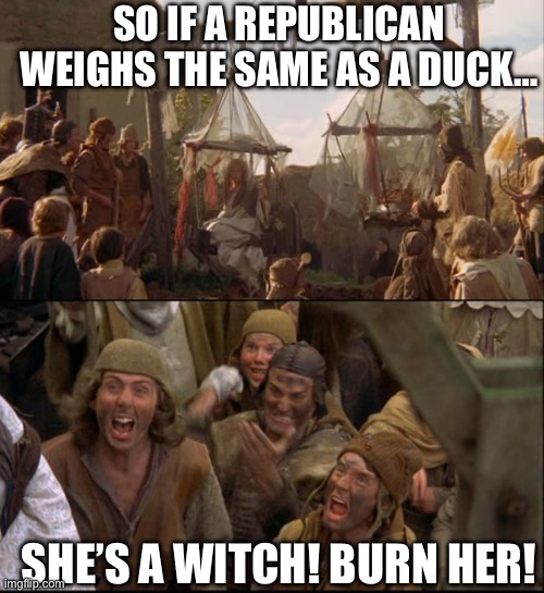 Libtard “science” meets libtard “justice”. | SO IF A REPUBLICAN WEIGHS THE SAME AS A DUCK…; SHE’S A WITCH! BURN HER! | image tagged in monty python witch,politics,election fraud,liberal hypocrisy,pseudoscience,government corruption | made w/ Imgflip meme maker