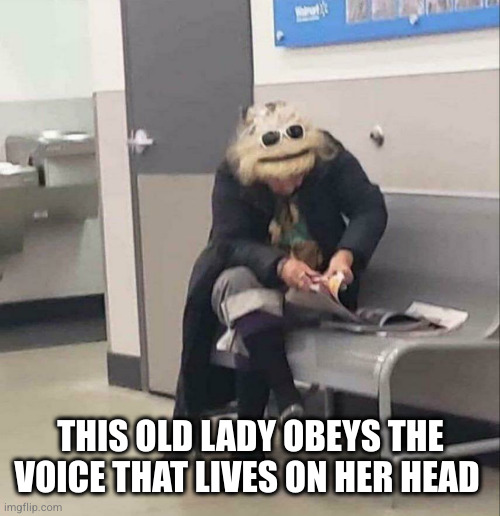 Older woman looks like a muppet | THIS OLD LADY OBEYS THE VOICE THAT LIVES ON HER HEAD | image tagged in older woman looks like a muppet | made w/ Imgflip meme maker