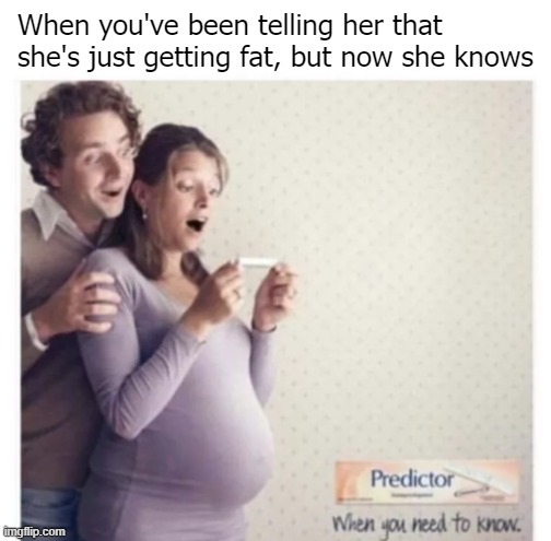 "Soooo fat honey" | When you've been telling her that she's just getting fat, but now she knows | image tagged in funny | made w/ Imgflip meme maker