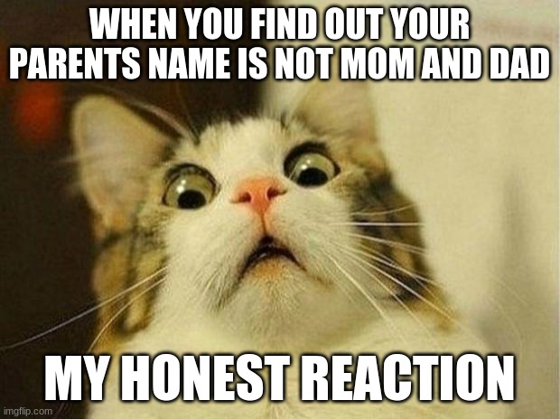 Scared Cat | WHEN YOU FIND OUT YOUR PARENTS NAME IS NOT MOM AND DAD; MY HONEST REACTION | image tagged in memes,scared cat | made w/ Imgflip meme maker