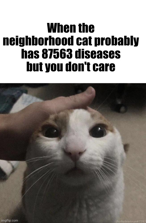 petpetpetpetpetpet | When the neighborhood cat probably has 87563 diseases but you don't care | image tagged in me petting my cat,cats,pets,neighborhood,disease,funny | made w/ Imgflip meme maker