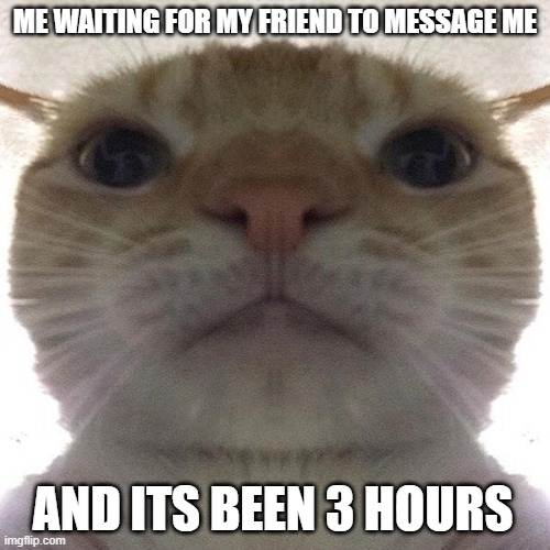 lmaoooo | ME WAITING FOR MY FRIEND TO MESSAGE ME; AND ITS BEEN 3 HOURS | image tagged in staring cat/gusic,memes,funny | made w/ Imgflip meme maker