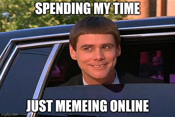 cool and stupid | SPENDING MY TIME; JUST MEMEING ONLINE | image tagged in cool and stupid | made w/ Imgflip meme maker