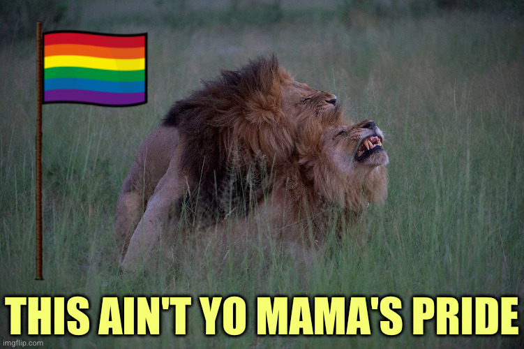 Beastie besties | THIS AIN'T YO MAMA'S PRIDE | image tagged in lgbtq | made w/ Imgflip meme maker