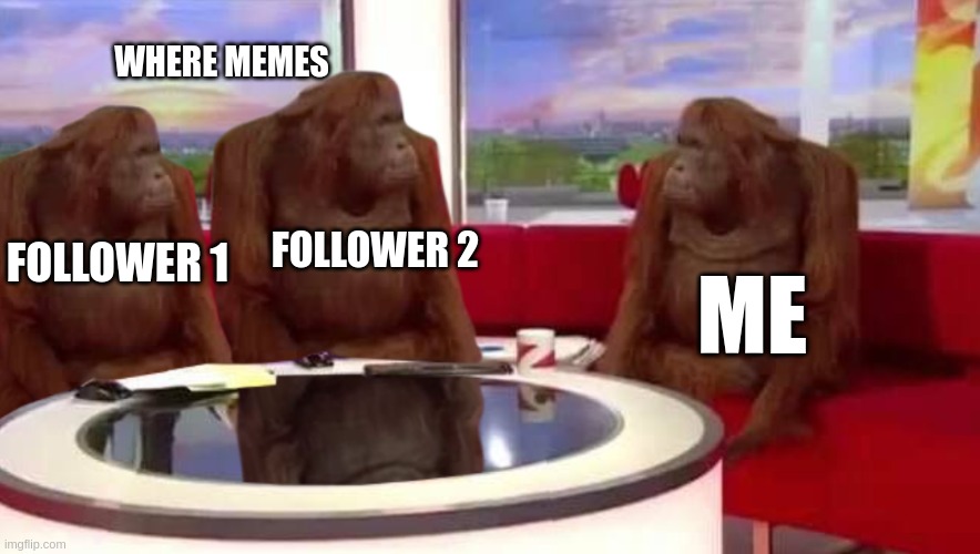 where monkey | WHERE MEMES; FOLLOWER 2; FOLLOWER 1; ME | image tagged in where monkey | made w/ Imgflip meme maker