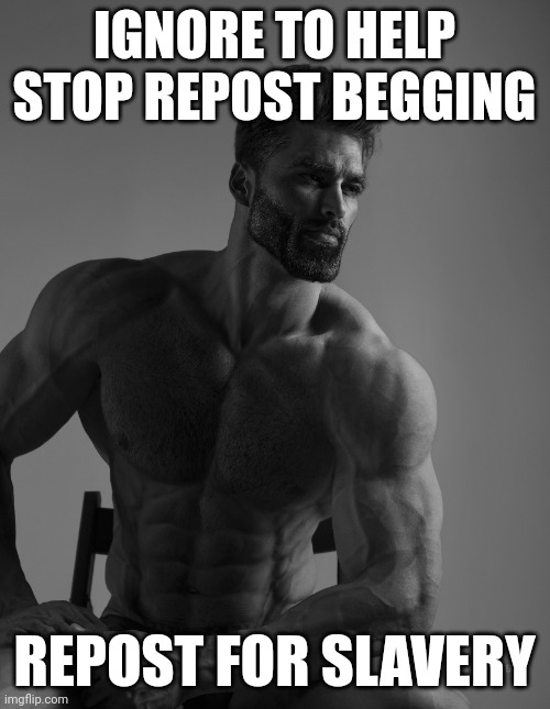 I advise you to ignore | IGNORE TO HELP STOP REPOST BEGGING; REPOST FOR SLAVERY | image tagged in giga chad | made w/ Imgflip meme maker