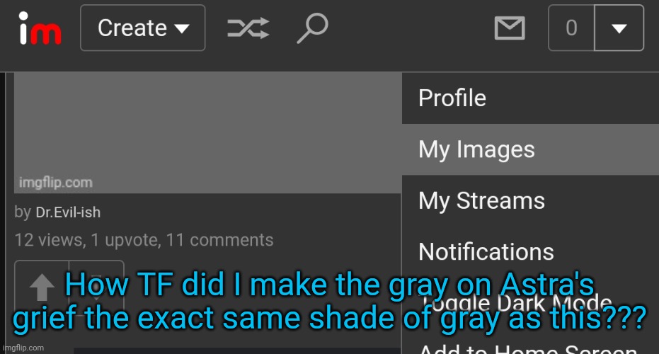 I had just scrolled down slightly and noticed this | How TF did I make the gray on Astra's grief the exact same shade of gray as this??? | made w/ Imgflip meme maker