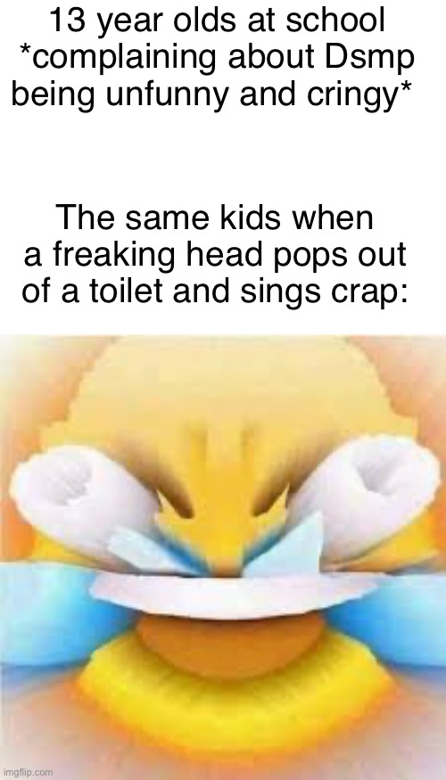 They can’t be taking | 13 year olds at school *complaining about Dsmp being unfunny and cringy*; The same kids when a freaking head pops out of a toilet and sings crap: | image tagged in laughing crying emoji with open eyes,dsmp | made w/ Imgflip meme maker
