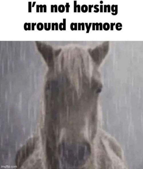 I’m not horsing around anymore | image tagged in i m not horsing around anymore | made w/ Imgflip meme maker