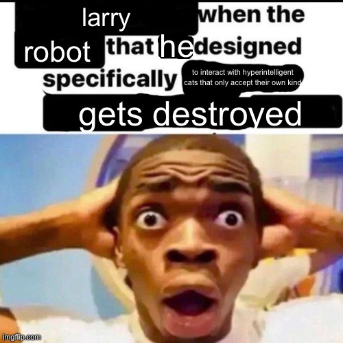 . | larry; he; robot; to interact with hyperintelligent cats that only accept their own kind; gets destroyed | image tagged in x when the y that he designed specifically to z | made w/ Imgflip meme maker