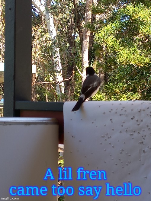 A lil fren came too say hello | made w/ Imgflip meme maker