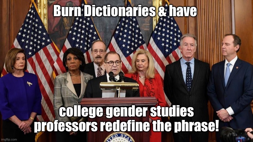 House Democrats | Burn Dictionaries & have college gender studies professors redefine the phrase! | image tagged in house democrats | made w/ Imgflip meme maker