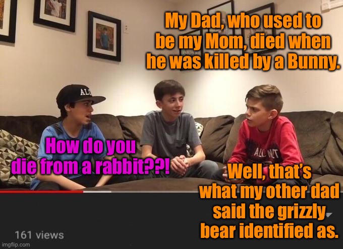 Is Fortnite Actually Overrated? | My Dad, who used to be my Mom, died when he was killed by a Bunny. How do you die from a rabbit??! Well, that’s what my other dad said the g | image tagged in is fortnite actually overrated | made w/ Imgflip meme maker
