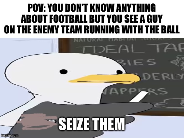 POV: YOU DON’T KNOW ANYTHING ABOUT FOOTBALL BUT YOU SEE A GUY ON THE ENEMY TEAM RUNNING WITH THE BALL; SEIZE THEM | image tagged in stop reading the tags | made w/ Imgflip meme maker