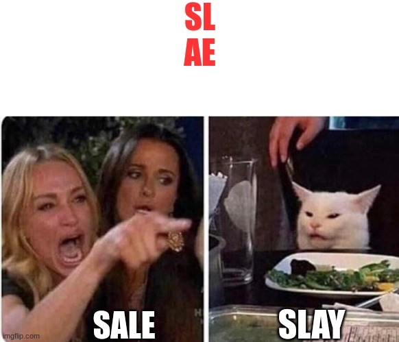 Cat doz nomz | SL
AE; SALE; SLAY | image tagged in lady screams at cat | made w/ Imgflip meme maker