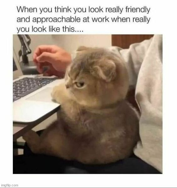 image tagged in memes,funny | made w/ Imgflip meme maker