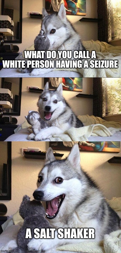 Bad Pun Dog | WHAT DO YOU CALL A WHITE PERSON HAVING A SEIZURE; A SALT SHAKER | image tagged in memes,bad pun dog | made w/ Imgflip meme maker