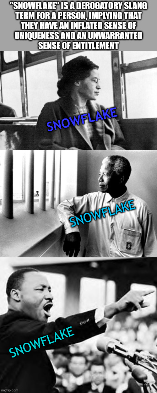 Apparently Civil Rights leaders were a bunch of "snowflakes". Kinda paints the people who throw that term around in a new light | "SNOWFLAKE" IS A DEROGATORY SLANG
TERM FOR A PERSON, IMPLYING THAT
THEY HAVE AN INFLATED SENSE OF
UNIQUENESS AND AN UNWARRANTED
SENSE OF ENTITLEMENT; SNOWFLAKE; SNOWFLAKE; SNOWFLAKE | image tagged in rosa parks,nelson mandela in a cell,i have a dream | made w/ Imgflip meme maker
