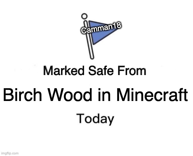 Marked Safe From Meme | Camman18; Birch Wood in Minecraft | image tagged in memes,marked safe from | made w/ Imgflip meme maker