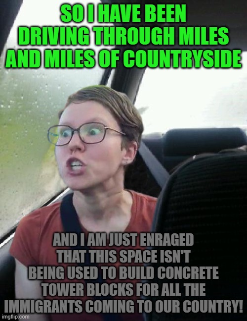 The coming Citadels of Diversity | SO I HAVE BEEN DRIVING THROUGH MILES AND MILES OF COUNTRYSIDE; AND I AM JUST ENRAGED THAT THIS SPACE ISN'T BEING USED TO BUILD CONCRETE TOWER BLOCKS FOR ALL THE IMMIGRANTS COMING TO OUR COUNTRY! | image tagged in memes,immigrants,immigration,diversity,tower,driving | made w/ Imgflip meme maker